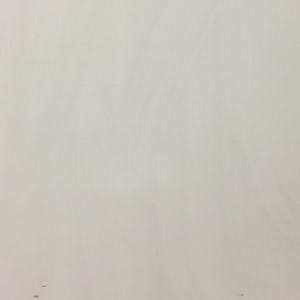 Meet your Posher, Naomi